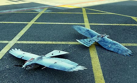 Halcodrón, dron con forma de halcón